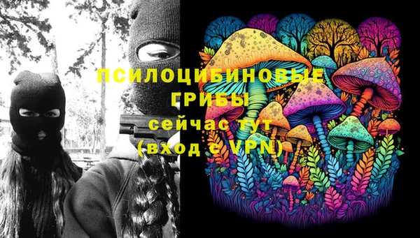 PSILOCYBIN Бугульма