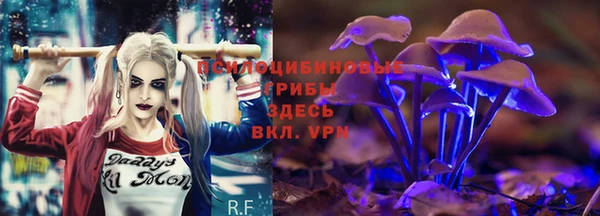 бутират Бородино