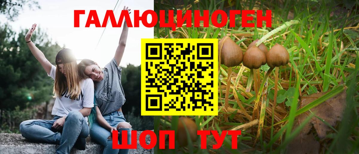 Псилоцибиновые грибы Psilocybine cubensis  Псилоцибиновые грибы мицелий  Вичуга  Вход с VPN 