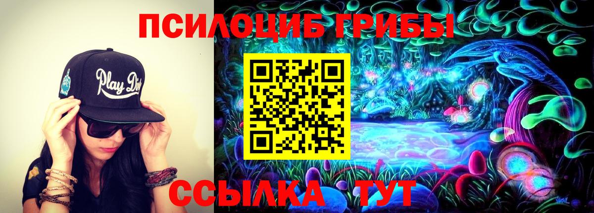 Галлюциногенные грибы Cubensis Вичуга